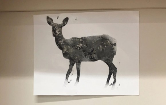 Screen shot 2018-10-25 at 3.32.03 PM.jpg